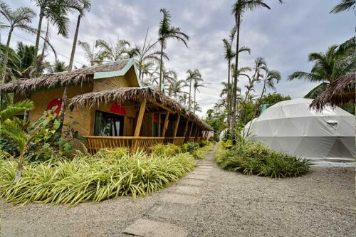 Deluxe Nipa Hut